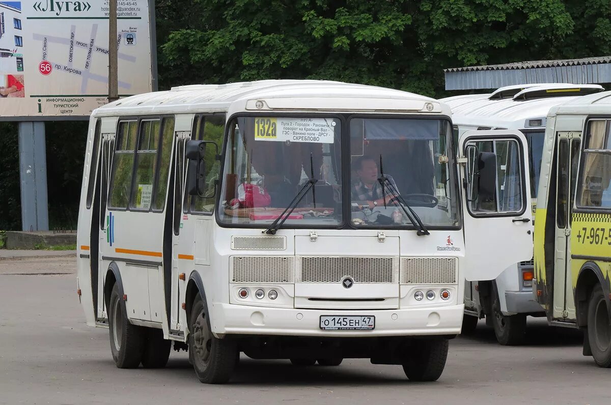 Автовокзал луга. Луга автостанция. Автобус Луга. Скреблово Луга автобус. Автобусы в Луге.