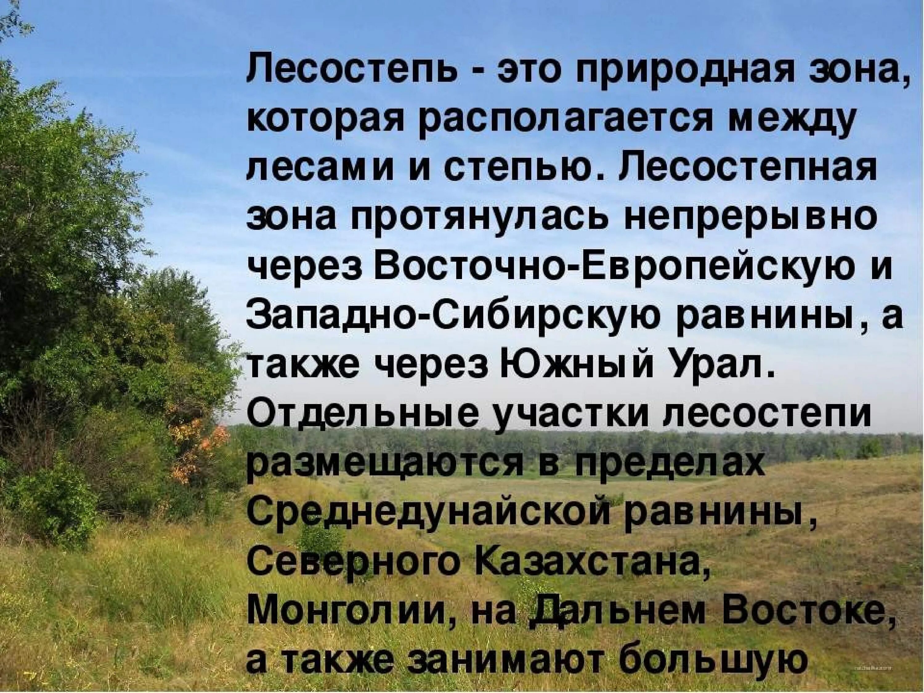 Природные особенности лесостепи и степи. Лесостепная зона. Степи и лесостепи. Степи и лесостепи доклад. Описание лесостепной зоны.