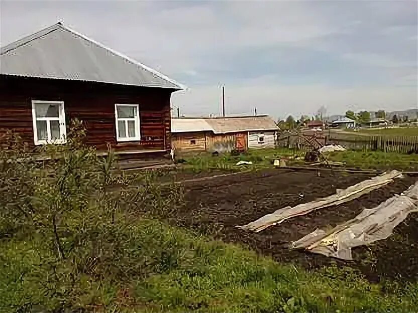 Погода в березовке алтайский край красногорский. Красногорск Алтайский край. Березовка Красногорский район. Березовка Алтайский край. Красногорское Алтайский край.