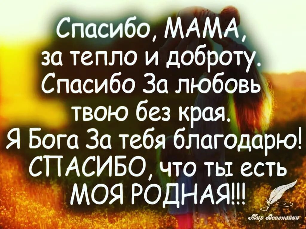 Благодарю за теплоту твоей души. Спасибо мама. Стихи благодарности. Спасибо за тёплые слова картинки. Спасибо за все тепло.
