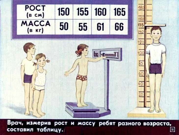 Подумайте как можно измерить свой рост. Измерение роста и веса. измерение роста человека. как измерить рост. измерение роста и веса ребенка.