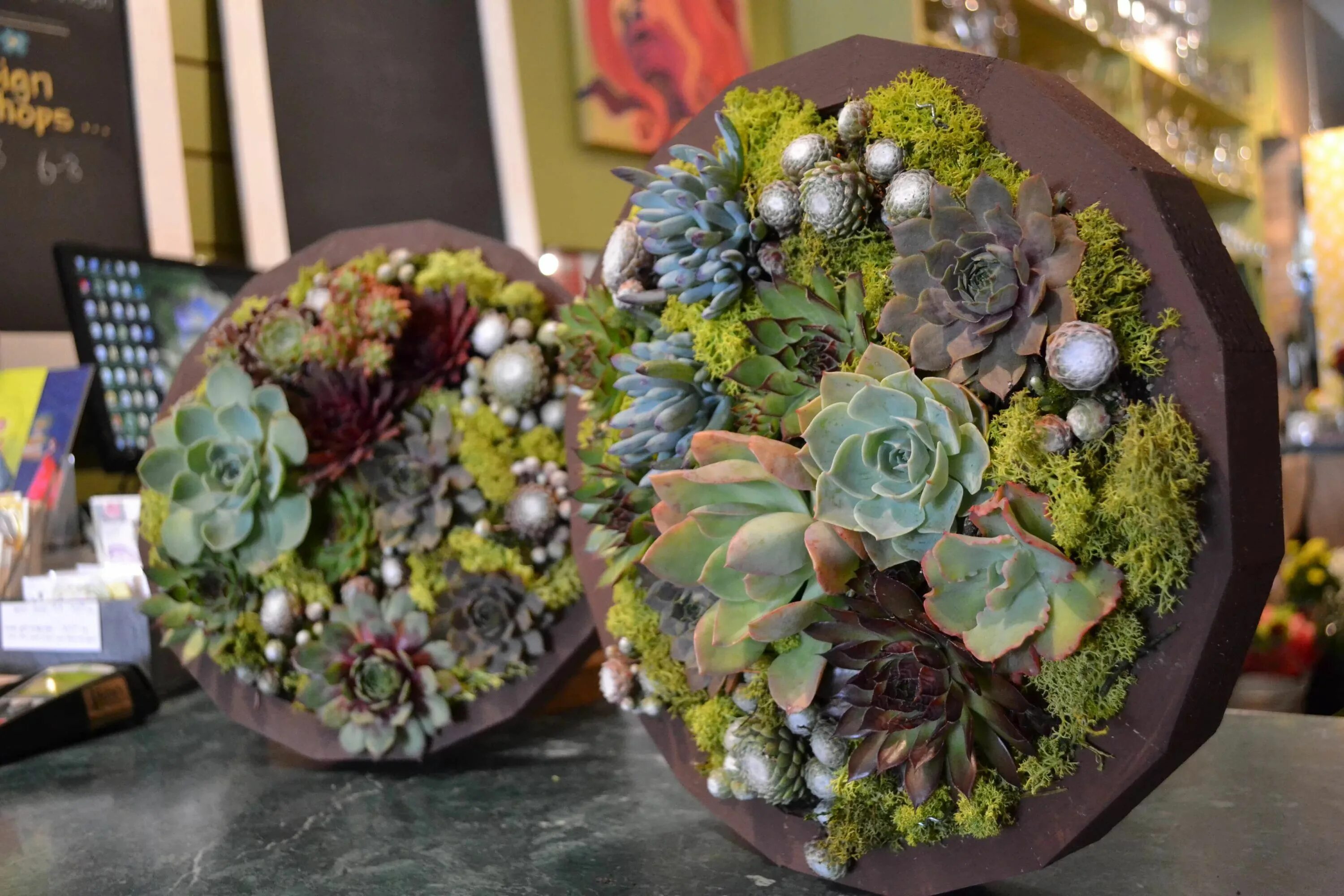 Вегетативный стиль во флористике. Композиции из цветов для интерьера. Клош и суккулент. Композиция под. Икебана амарант.