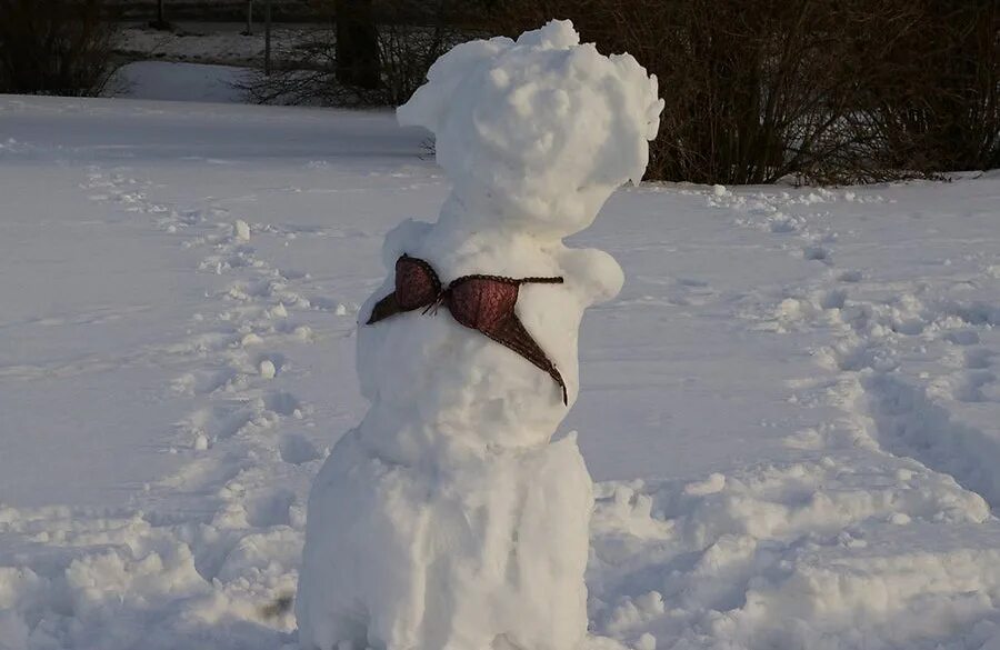 Кто ждет именно такую зиму. Кот в снегу. Каждая зима такая 1. Каждая зима такая 1. Каждая зима такая 1.