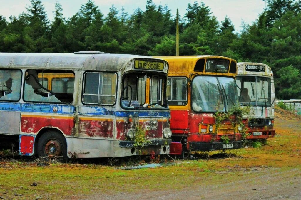 Автобусы старые дороги. Самый старый автобус. Природа с автобусом. Самый старый автобус в мире. Старый автобус текстура.