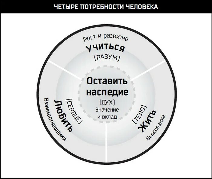 Кови 4 типа интеллекта. 4 Типа интеллекта по Стивену Кови. Интеллект по Стивену Кови.