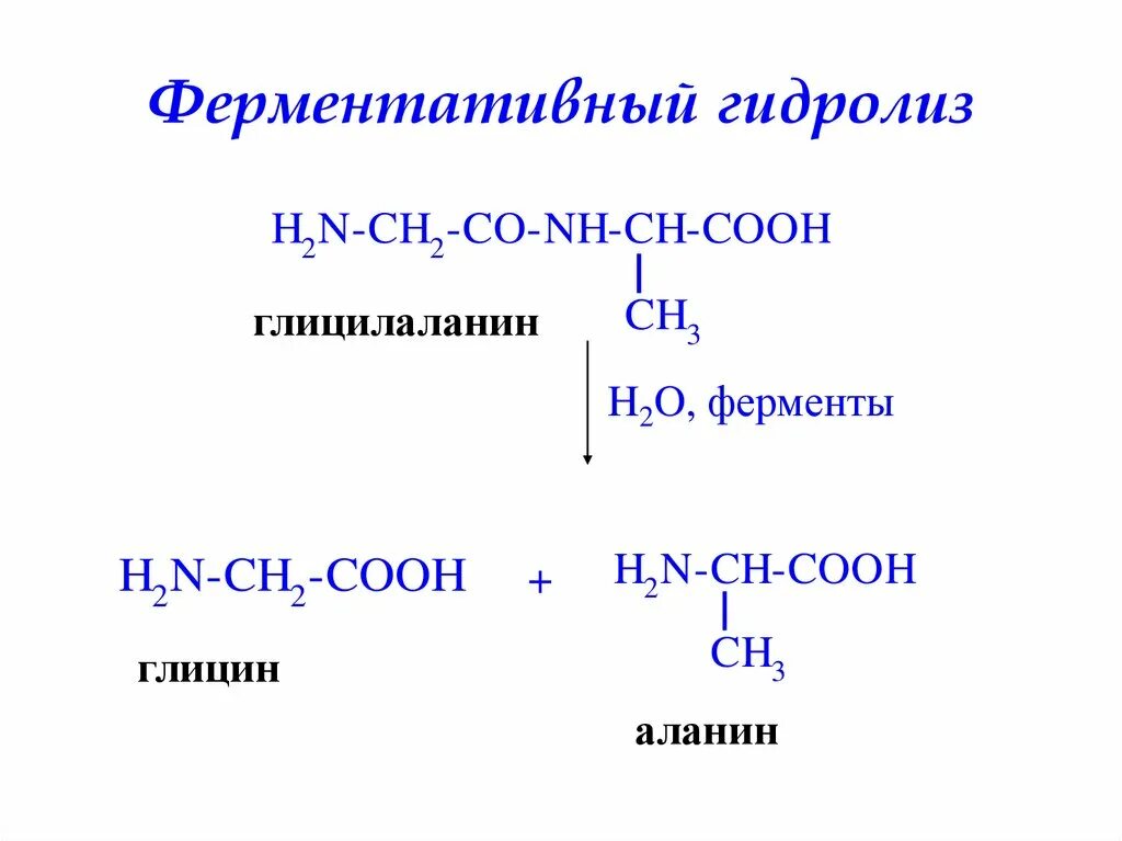 Трипептид щелочной гидролиз. Щелочной гидролиз пептидов. Ферментативный гидролиз белков схема. Кислотный гидролиз простых белков реакция. Кислотный гидролиз это