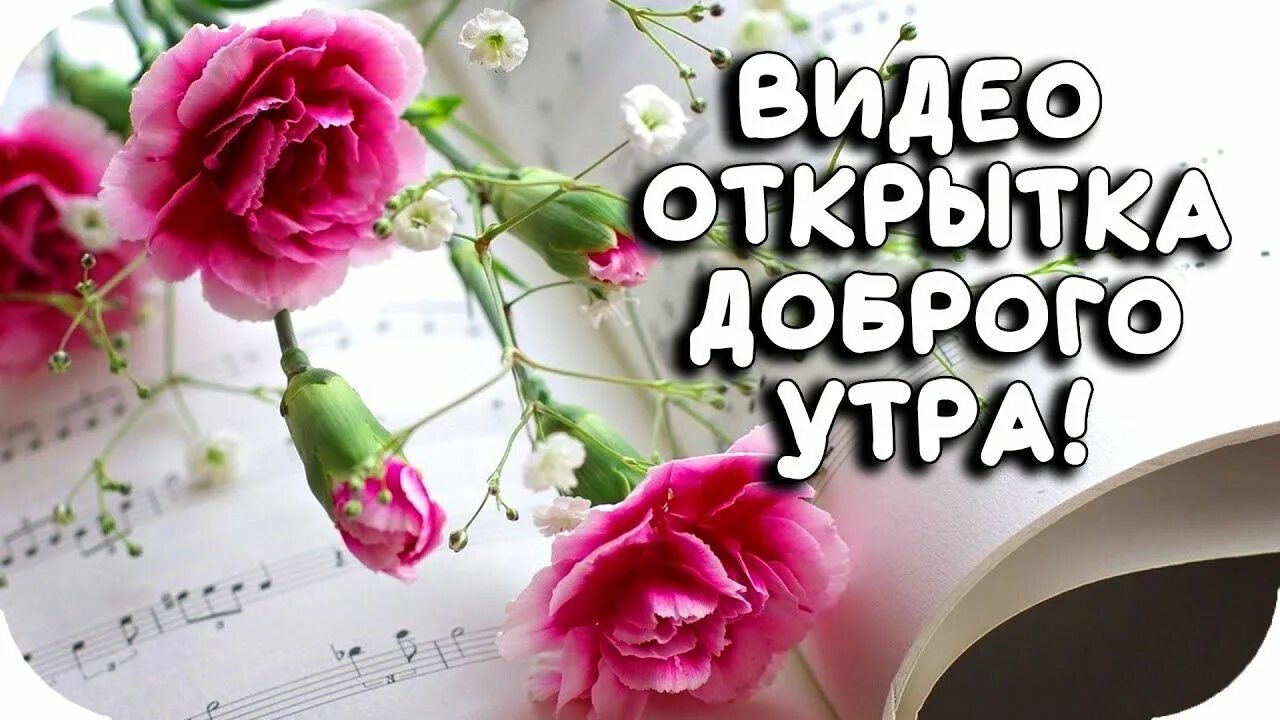 Пожелания доброго утра видео ватсап. Тик-ток с добрым утром. Тиктоки с добрым утром. Открытки с добрым утром. Тик-ток поздравления с добрым утром.