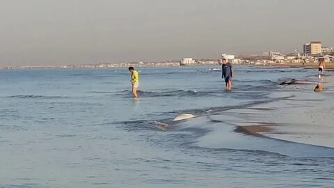 Море в 7 утра