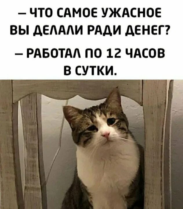 Он сделал это ради. Вспомни ради чего. На что самое ужасное вам приходилось идти на работу. Он сделал это ради. Ава смешная мем.
