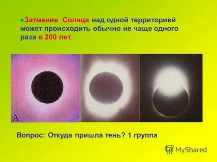 Не чаще одного раза в неделю