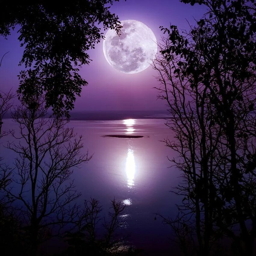 Доброй ночи. Лунная река. Луна вечером. Луна светит. Доброй ночи природа пожелание