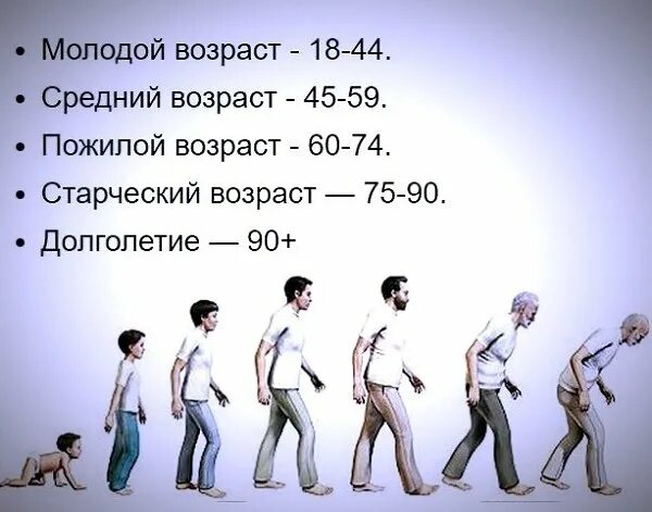 Стадии взросления мужчины