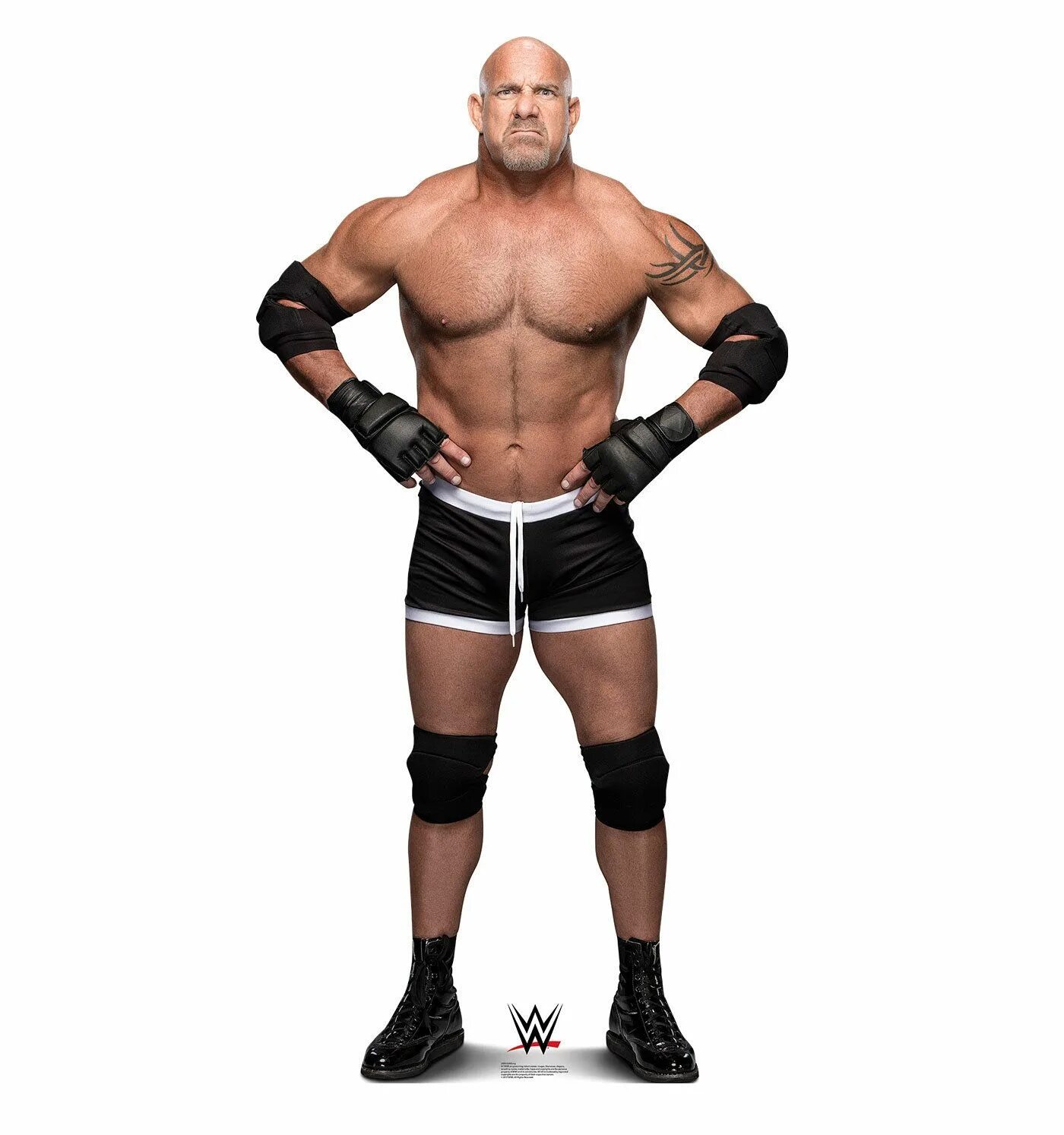 Голдберг рестлер. Билл Голдберг. Goldberg Рестлер. Голдберг WWE. Билл Голдберг рестлеры.