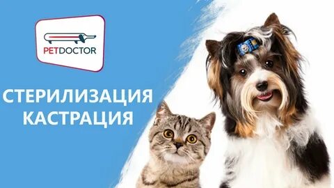Вред кастрации