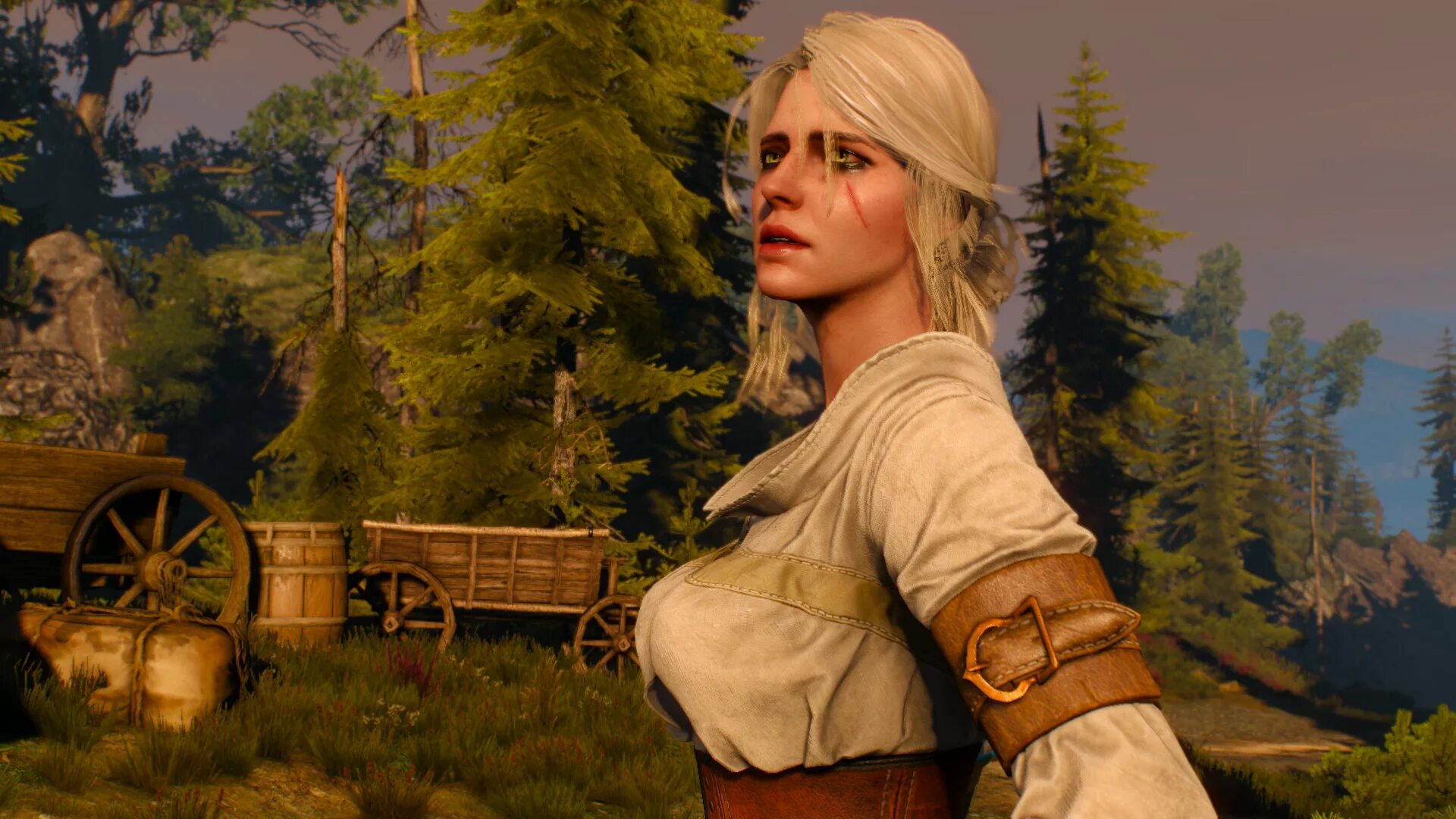 The witcher 3 цири. Цирилла фиона. цирилла фиона элен рианнон. цирилла фиона элен рианнон ведьмак 3. ведьмак 3 дикая охота цири.
