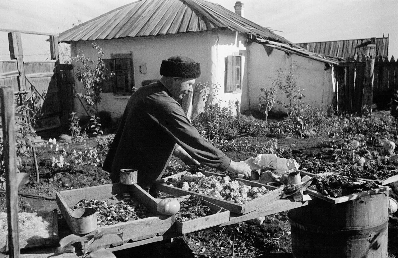 Жизнь в деревнях ссср. Советская деревня. Быт Советской деревни. Огород деревня СССР. Жизнь в деревне СССР.