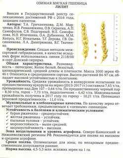 Характеристика сорта еланчик
