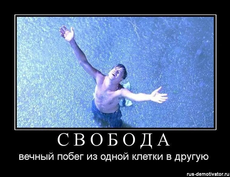 А свобода она такая. Свобода картинки. Статус про свободу и счастье. Мотиваторы и демотиваторы. А свобода она такая.