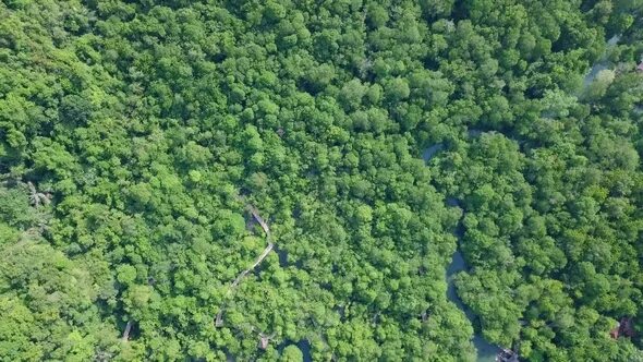 Tha Pom Klong Song nam. Smoke over the Forest Top view.