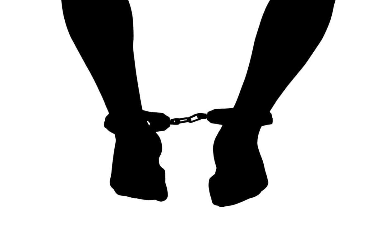 тише крадутся ниже расстегнутые текст