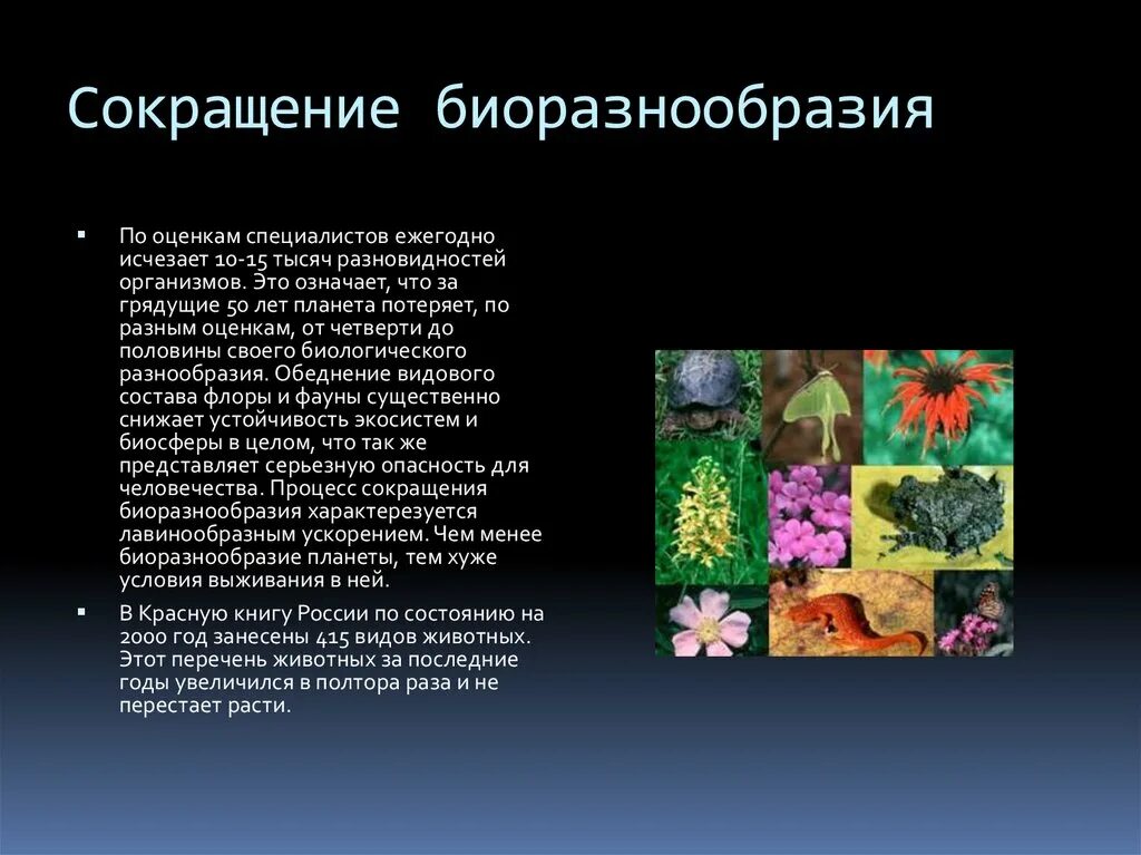 Сохранение биологического многообразия. Снижение биологического разнообразия. Сохранение биоразнообразия. Снижение видового разнообразия. Сокращение биологического разнообразия.