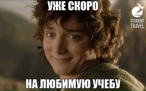 Твоя ж