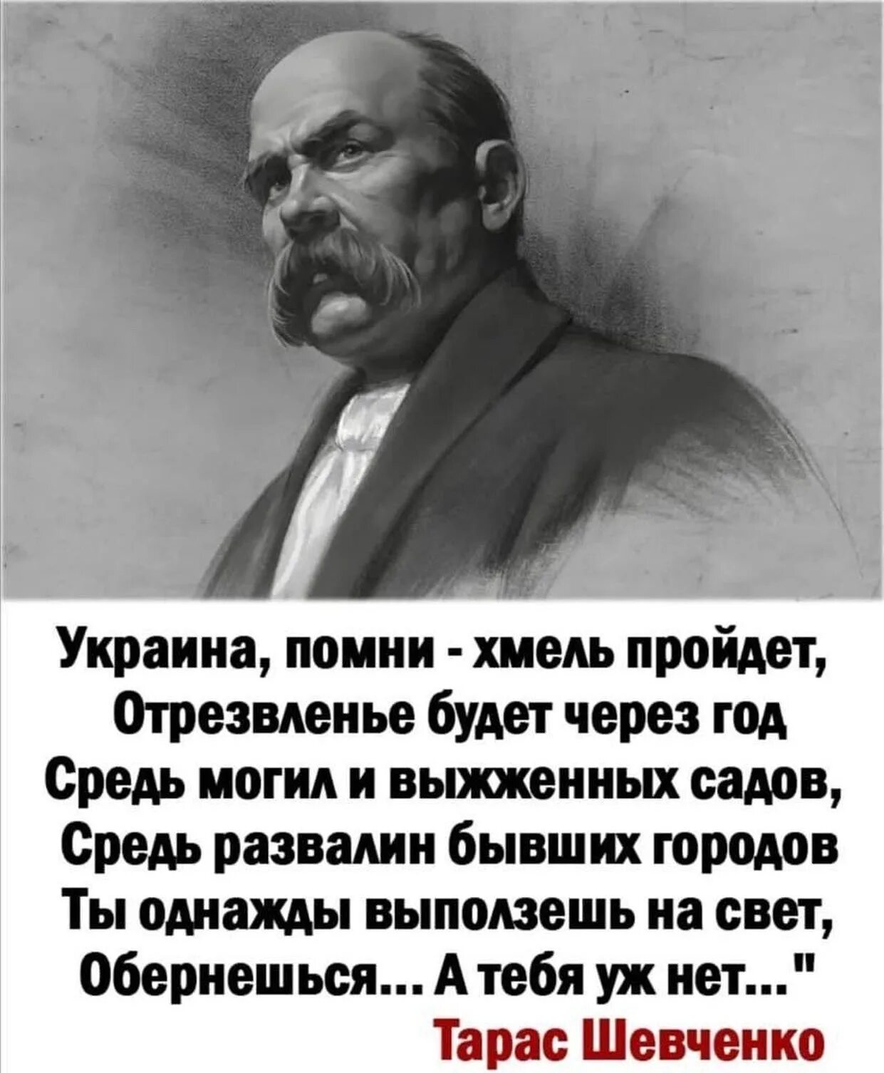 Шевченко стих про украину. Украина Помни Хмель пройдёт.