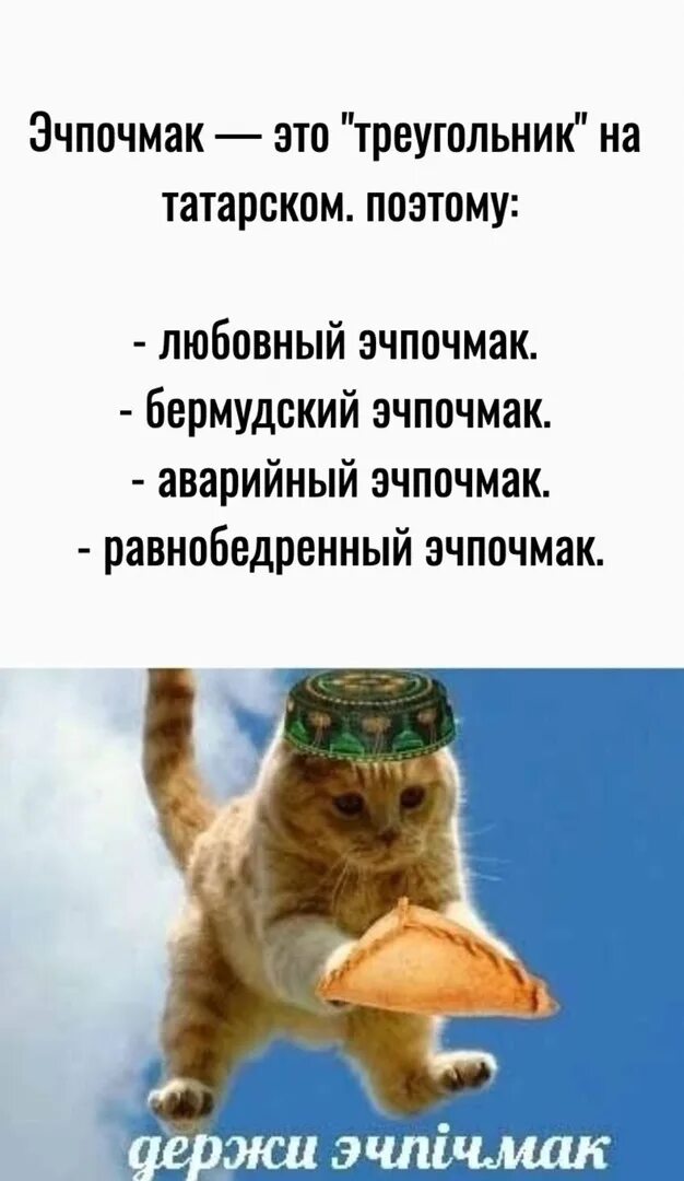 Эчпочмак мем. Кот эчпочмак. эчпочмак на татарском. эчпочмак картинки смешные.