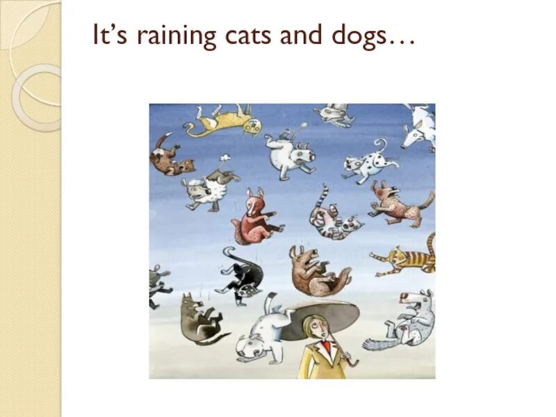 Идиома it's raining Cats and Dogs. Пословица it's raining Cats and Dogs.. Предложение с raining Cats and Dogs. Фразеологизмы it is raining Cats and Dogs.