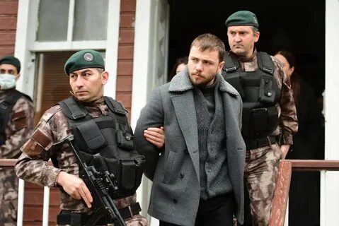 Задира турецкий
