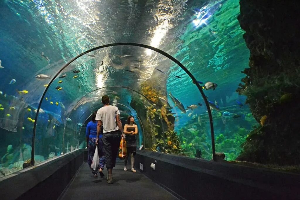 Анапа витязево олимпия. Евпатория крым аквапарк лукоморье. Памуккале турция экскурсия. Аквапарк сочи самый большой амфибиус. Куда сходить где отдохнуть.