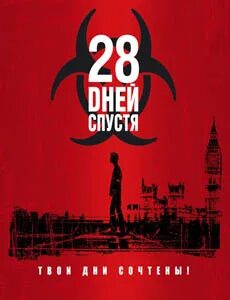 28 дней без