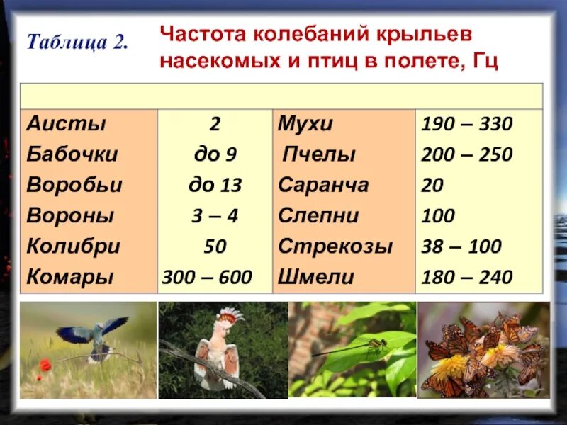 Частота колебаний крыльев птицы. Таблица колебаний крыльев насекомых. Скорость насекомых таблица. Частота колебаний.