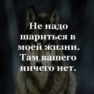 Нет ничего такого у человека