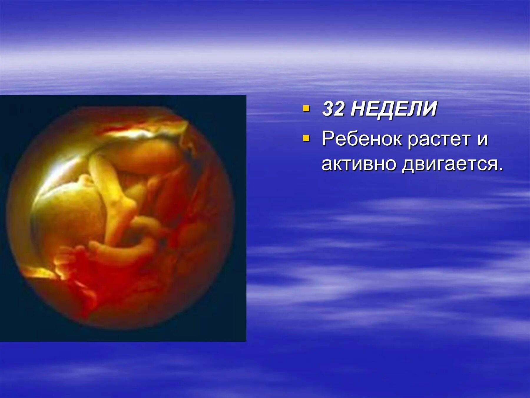 32 неделя беременности очень. Как выглядит плод в 32недкли. Ребёнок на 32 неделе беременности.