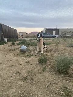 Терең жұлдыру порно