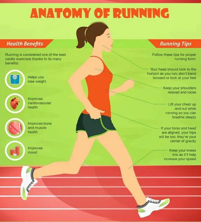 Инфографика бег. Польза бега. План беговых тренировок. Подарки для любителей пробежки.