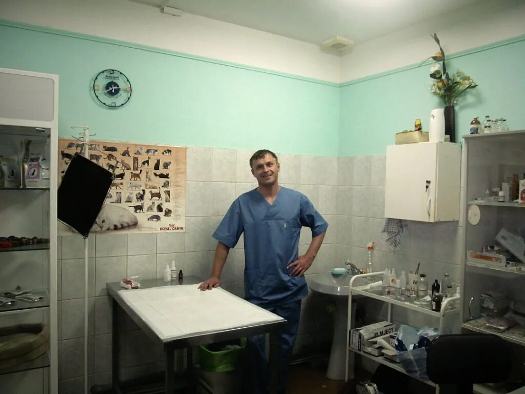 Ветбиопро ветклиника икша. Ветбиопро. Ветбиопро ветклиника икша. Ветбиопро икша. Ветбиопро икша.