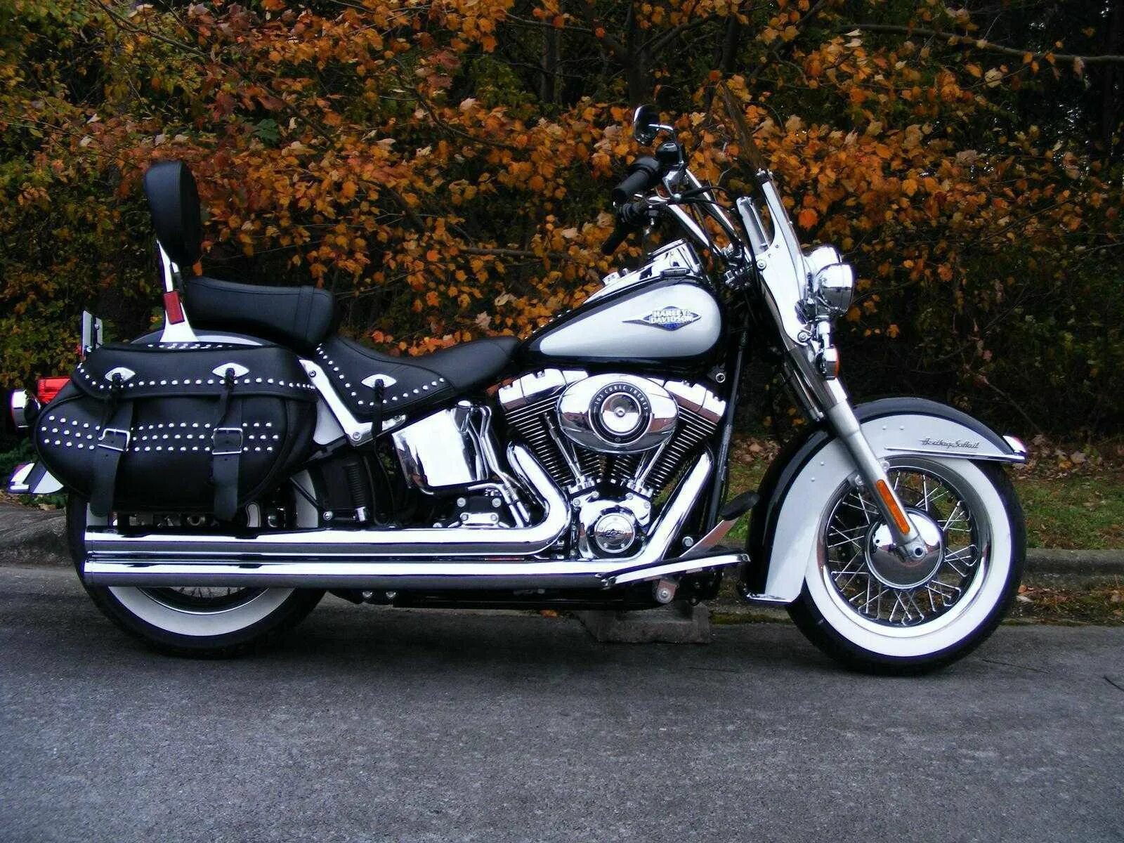Harley-Davidson VRSCAW V-Rod фото № 71900 автомобильная фотогалерея Harley-David