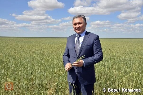 Нуринский район Карагандинской области село Тассуат. Нуринский район Карагандинской области. Акимат Нуринского района. Киевка Нуринский район Карагандинская область.