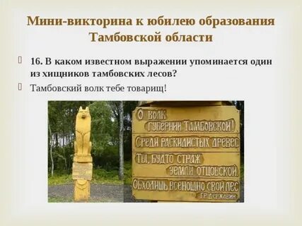 Тамбовский волк тебе товарищ откуда