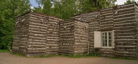 Дом из березы