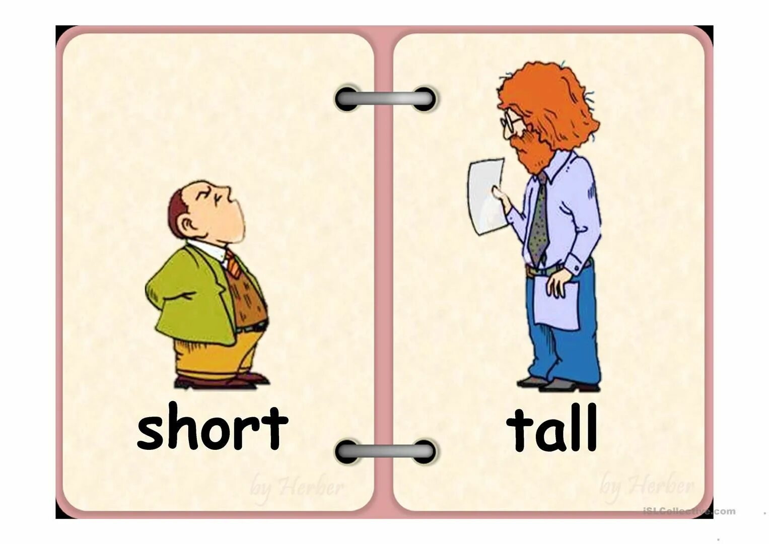 Tall short fat thin