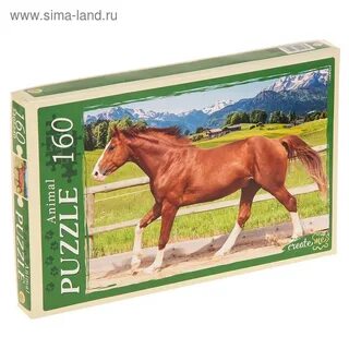 Пазл лошадь