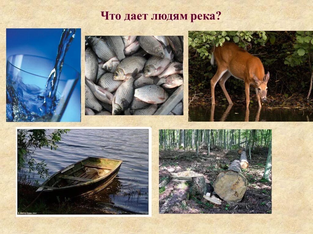 Связь человека с реками: найдено 82 изображений