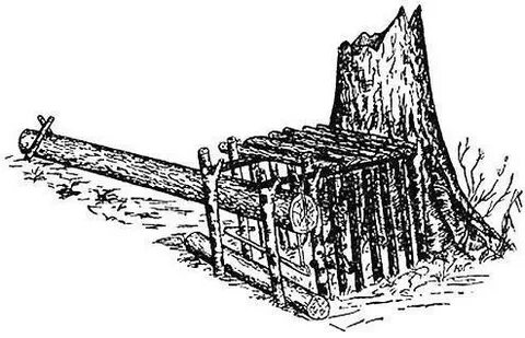 Колодник