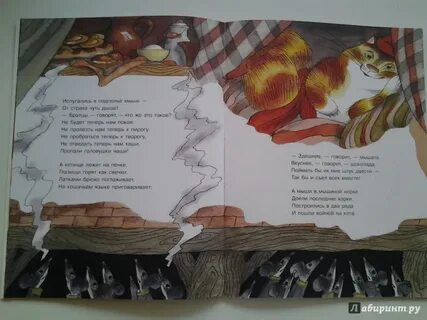Заболоцкий коты