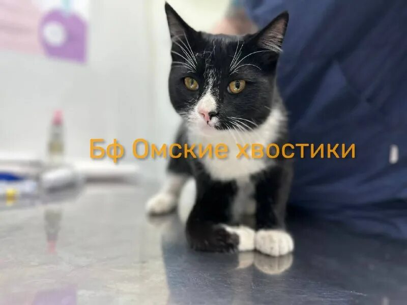 песня лапка диадема. песня лапка диадема. сломанная лапка ожерелье диадема песня слушать. сломанная лапка ожерелье диадема. песня лапка диадема.