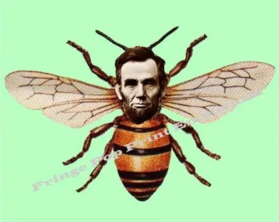 Мухаммед пчела