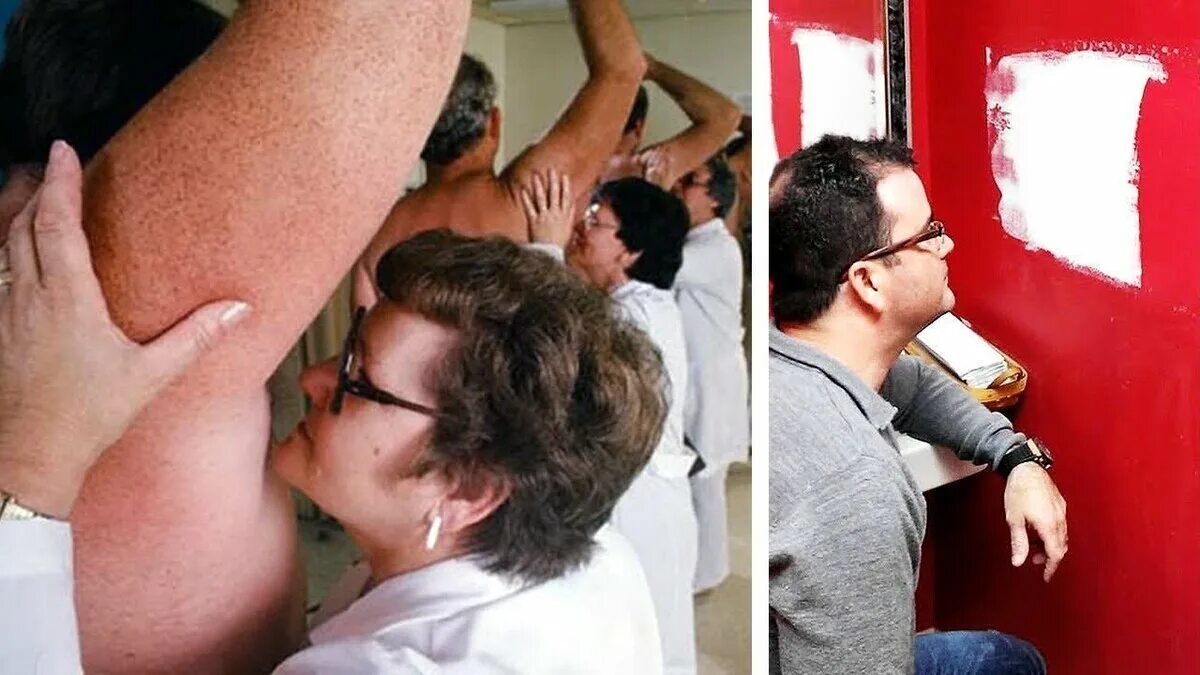 Интересные специальности. Редкие и необычные профессии. Необычные профессии. Странные профессии в мире. Интересные и редкие профессии.